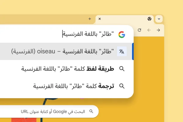 صورة لصفحة محرّك 'بحث Google' تتضمّن صورة لطائر وبحثًا عن 'كلمة طائر باللغة الفرنسية' ونتيجة البحث 'oiseau'