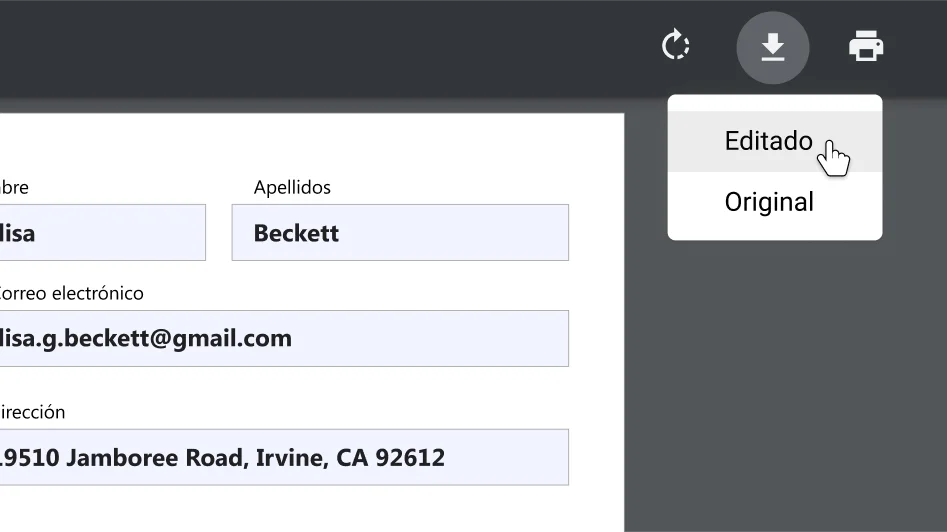 Ventana del navegador Chrome con un documento PDF abierto, con el menú de opciones de descarga e impresión ampliado.
