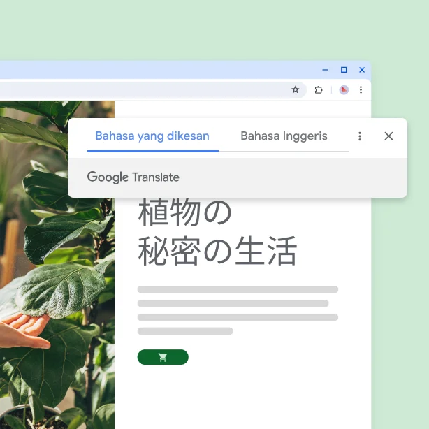 Laman web dengan tumbuhan dan teks diterjemahkan “he secret life of plants”