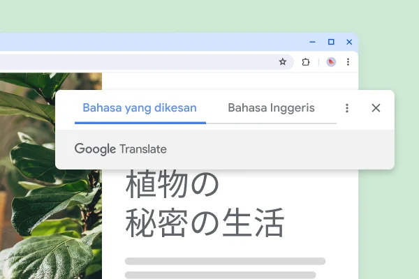 Laman web dengan tumbuhan dan teks diterjemahkan “he secret life of plants”