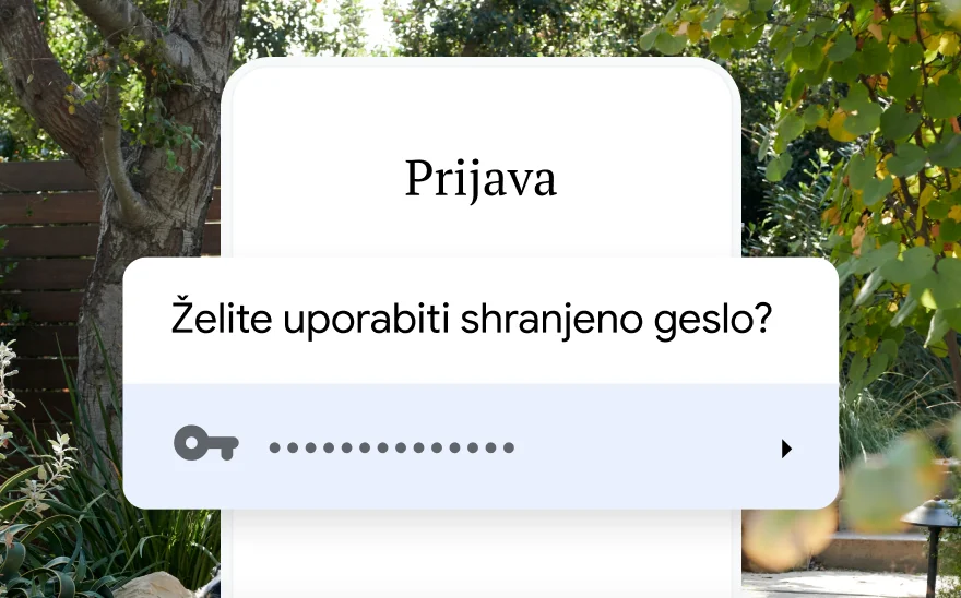 Stran za prijavo za rezervacijo potovanja pozove k uporabi shranjenega gesla. V ozadju je prizor iz narave.