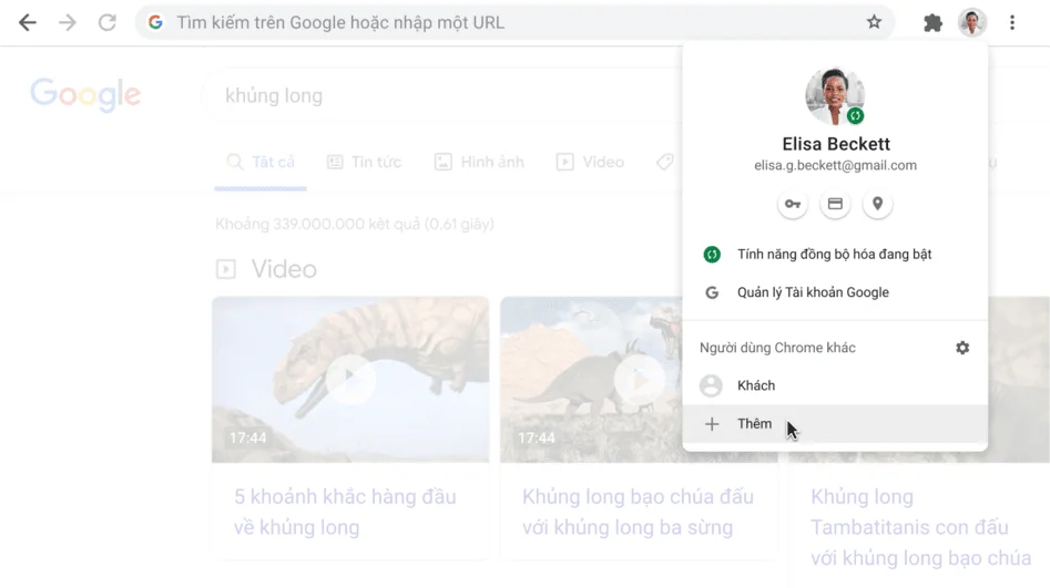 Cửa sổ trình duyệt Chrome có hộp thoại Hồ sơ đang mở.