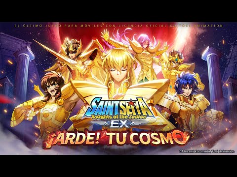 Imagen de la captura de pantalla